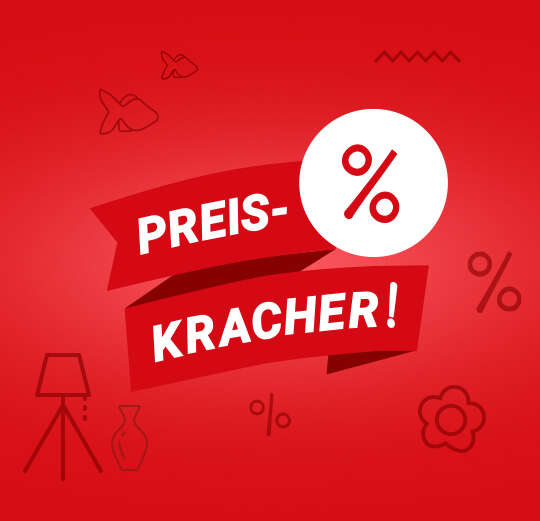 startseite banner preiskracher 540x521 1